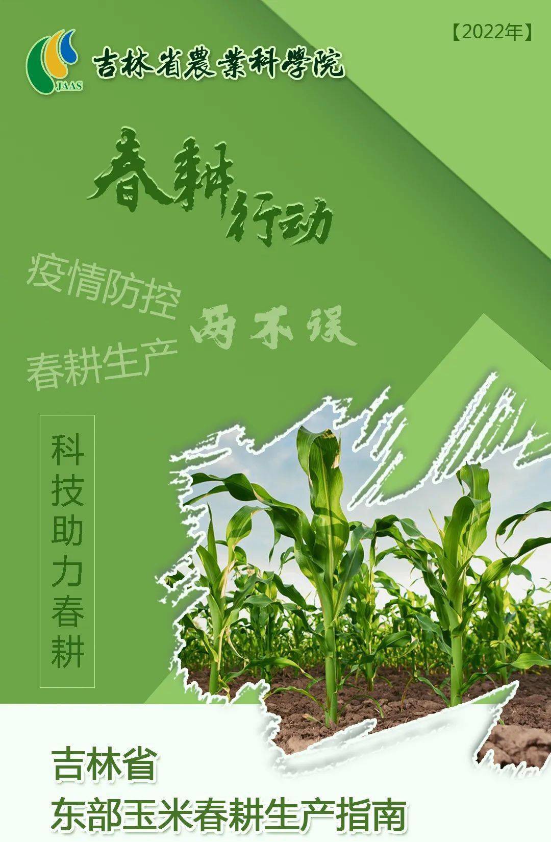 国内玉米底部支撑渐强 售粮进度快于去年同期