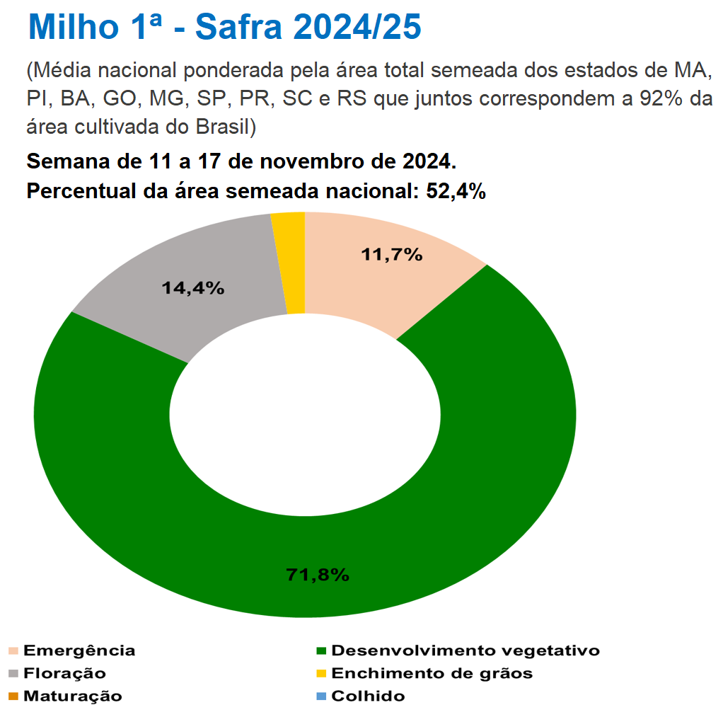 （2025年1月10日）今日美玉米期货最新价格行情查询