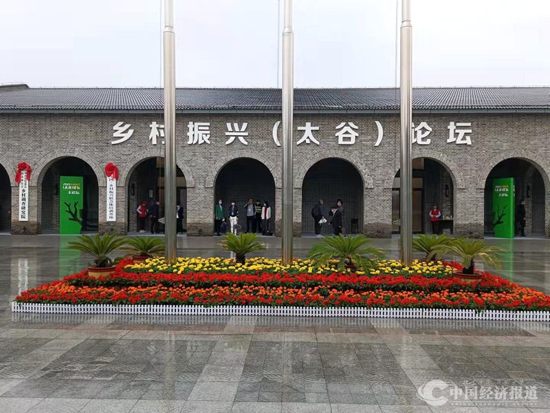 “清华三农论坛2025”举行 专家学者共话深化农村改革