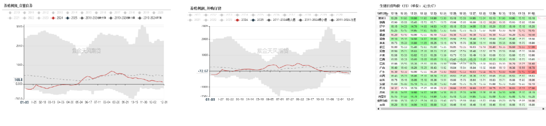 （2025年1月22日）今日玉米期货和美玉米最新价格查询