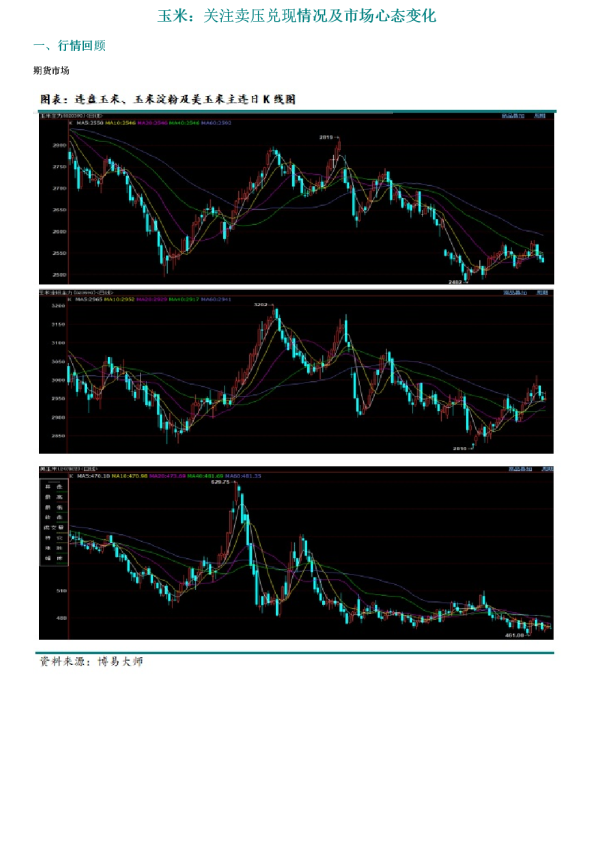 （2025年1月24日）今日玉米期货和美玉米最新价格查询