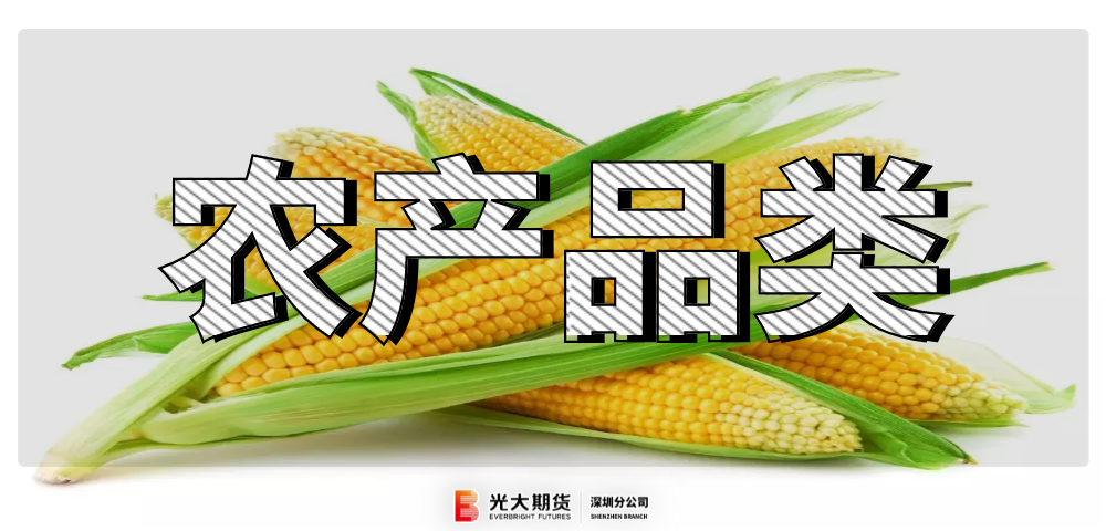 CBOT玉米价格震荡回落 因交易商进行获利了结