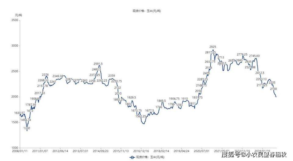 玉米供需边际好转 短期盘面价格或有反复