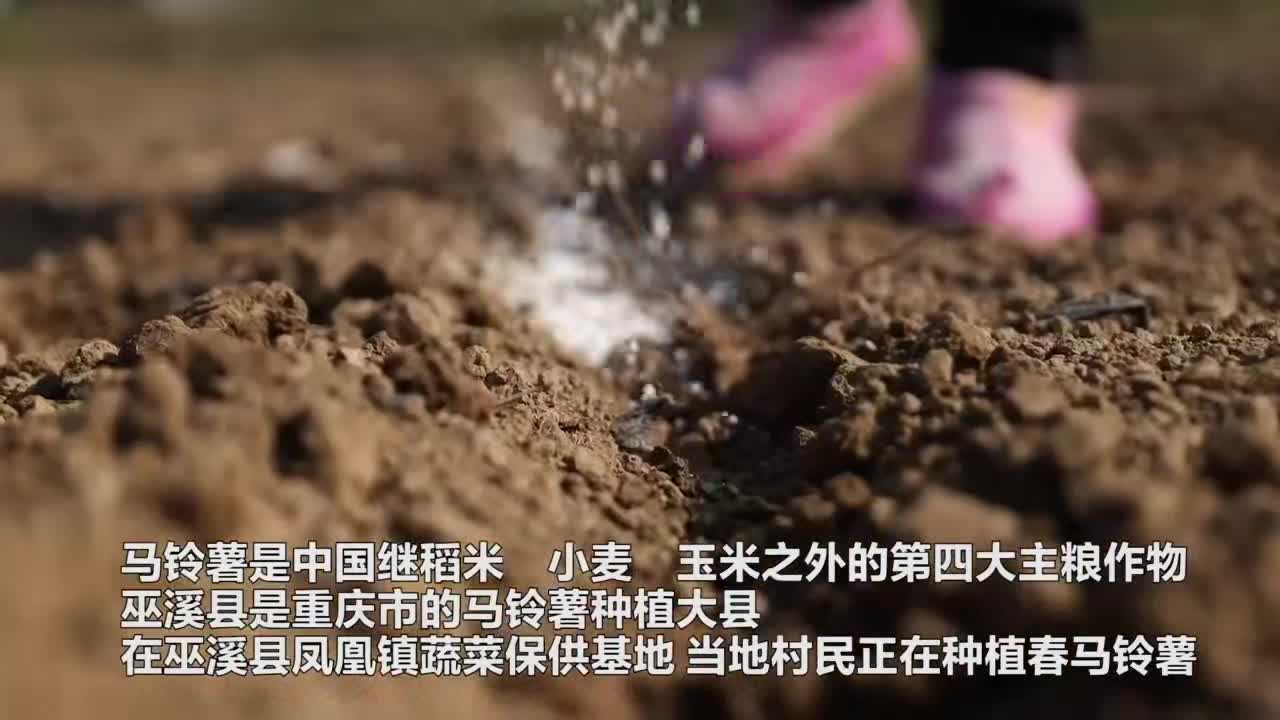 春来播种忙 铁路部门助力农耕物资运输跑出“加速度”