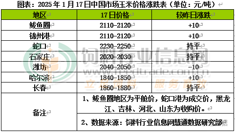 （2025年2月13日）今日玉米期货和美玉米最新价格查询