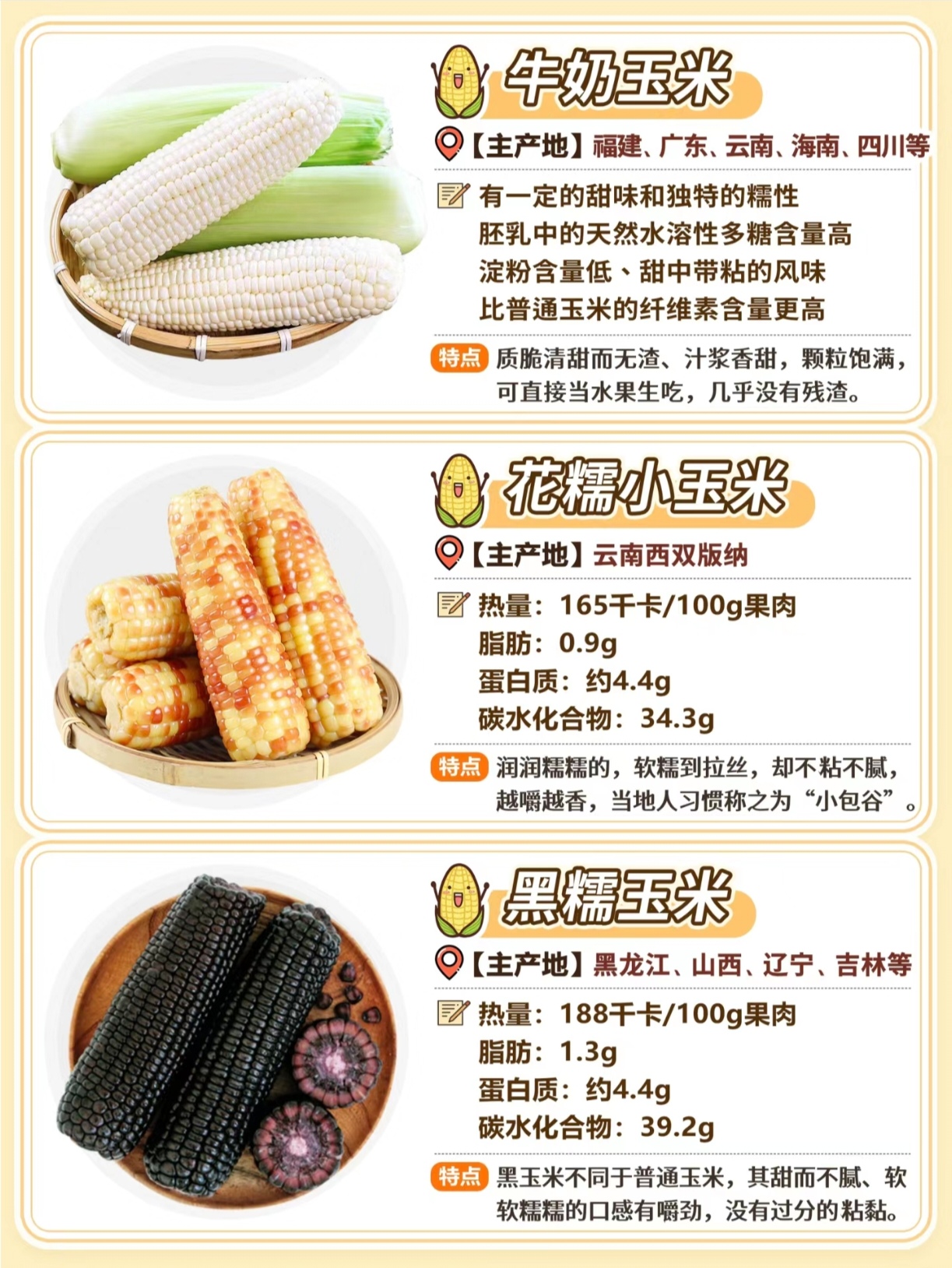 玉米阶段性供强需弱 价格短期或维持震荡