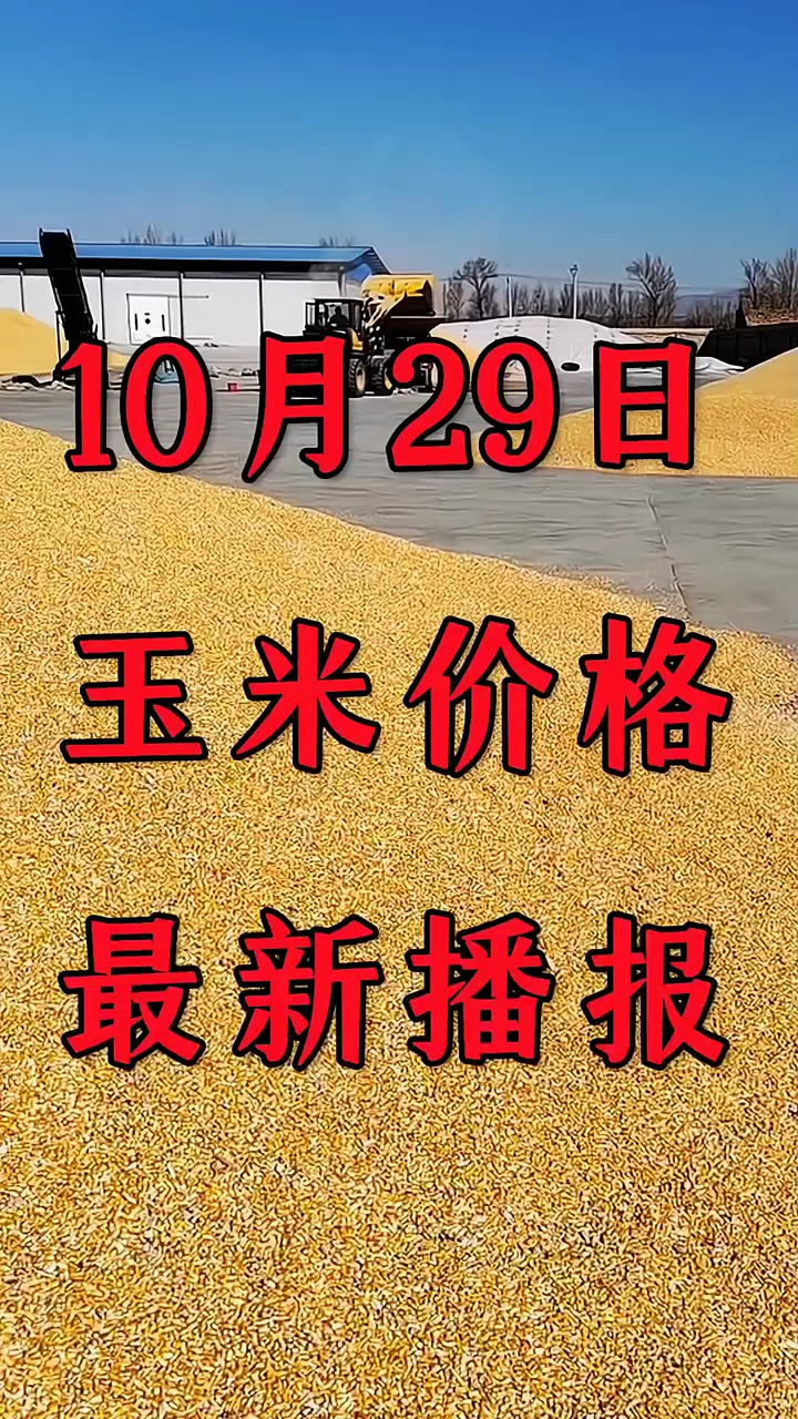 2月17日收盘玉米期货资金流出1.28亿元