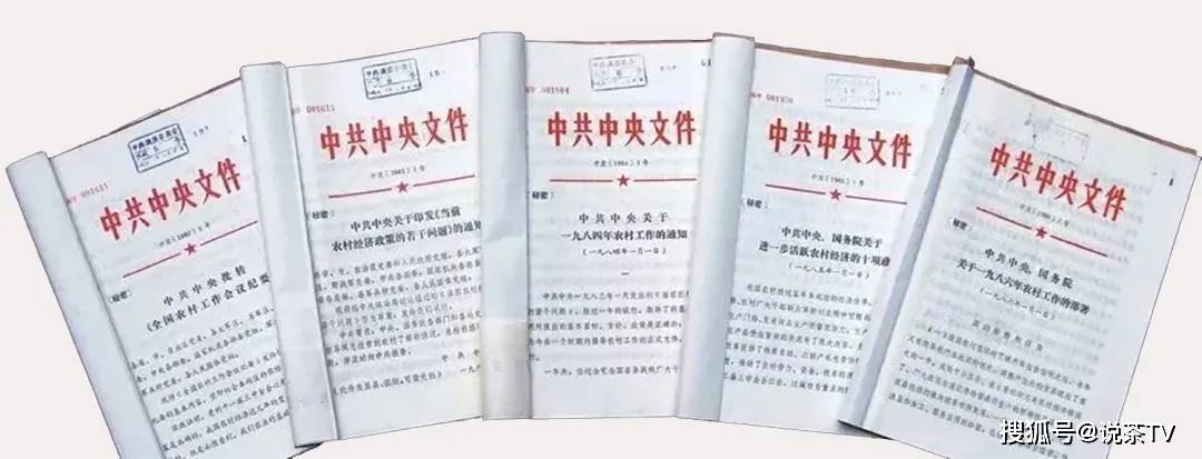 中央一号文件：要持续增强粮食等重要农产品供给保障能力