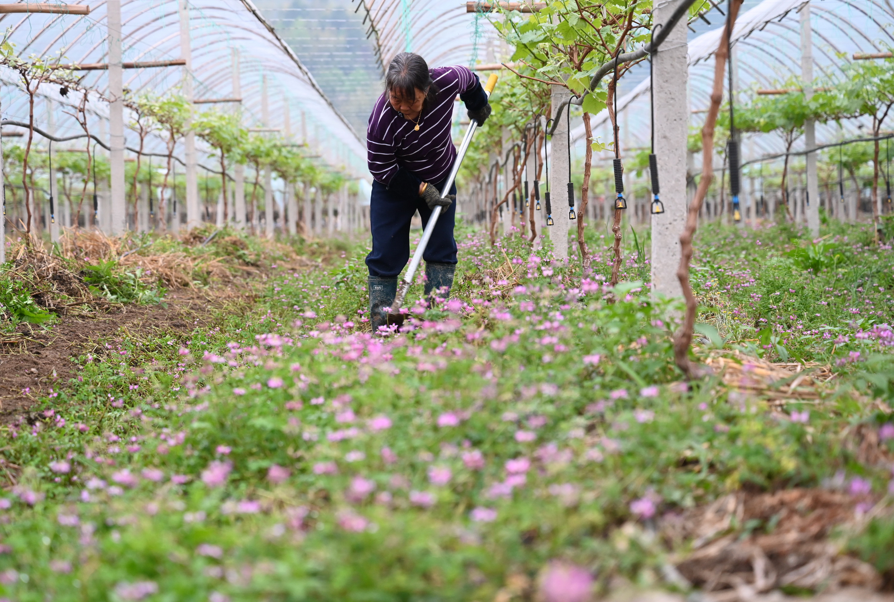 中央一号文件：我国各类返乡入乡创业人员超过1200万人