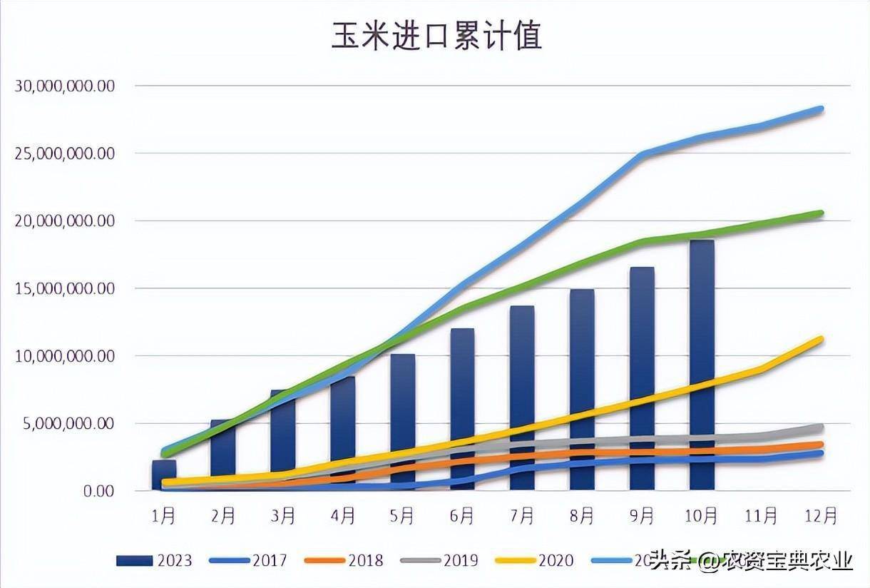 （2025年2月28日）今日玉米期货和美玉米最新价格查询