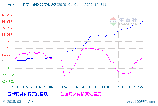 国内现货补涨基差回归 玉米价格呈现偏强运行表现