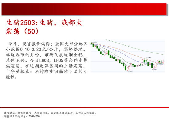 玉米期货3月7日主力小幅上涨0.61% 收报2308.0元