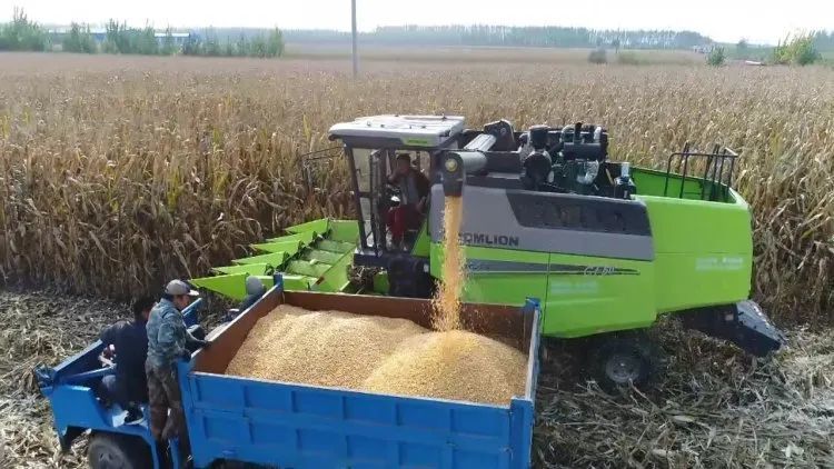 地趴粮仍要上市出售 玉米尝试向上突破未成功