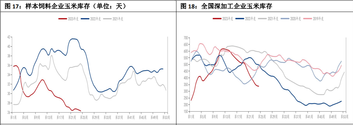 粮源逐步向渠道转移 玉米价格或继续震荡偏强