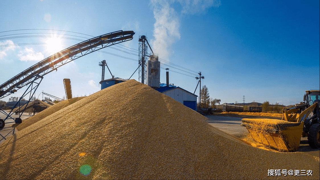 东北产区与南北方港口稳中有涨 玉米价格小幅回落