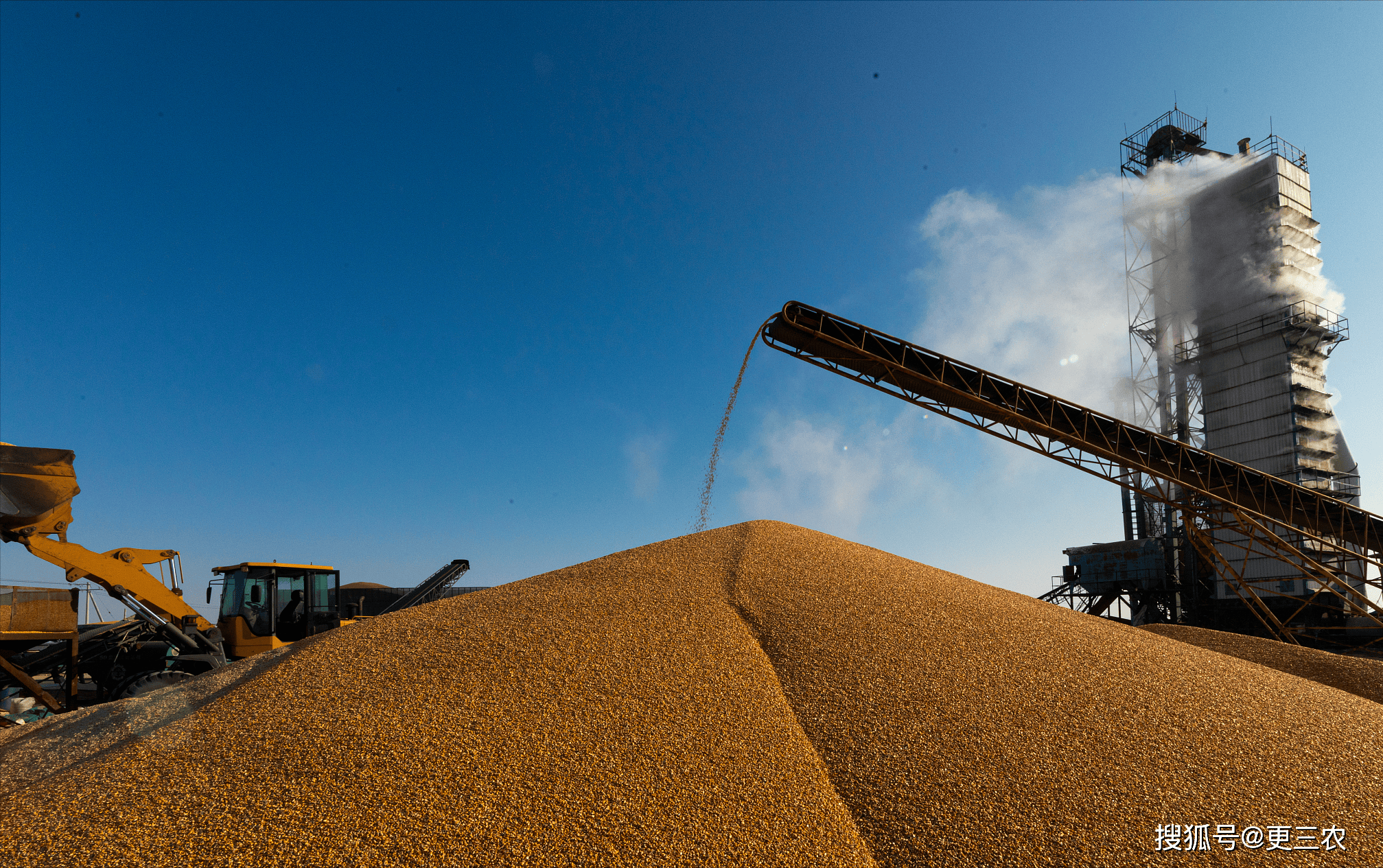 玉米：市场购销较为平稳 盘面维持震荡