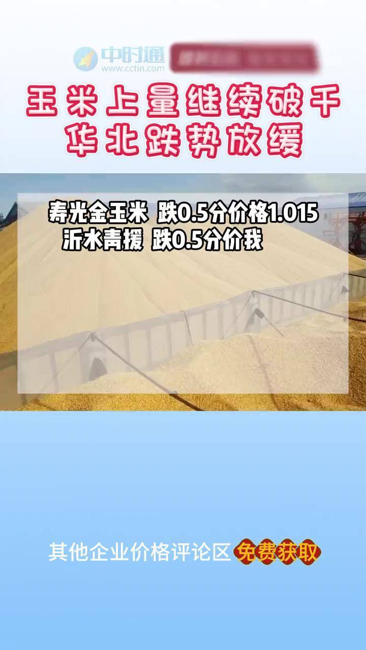 玉米：现货上涨滞缓 盘面维持震荡