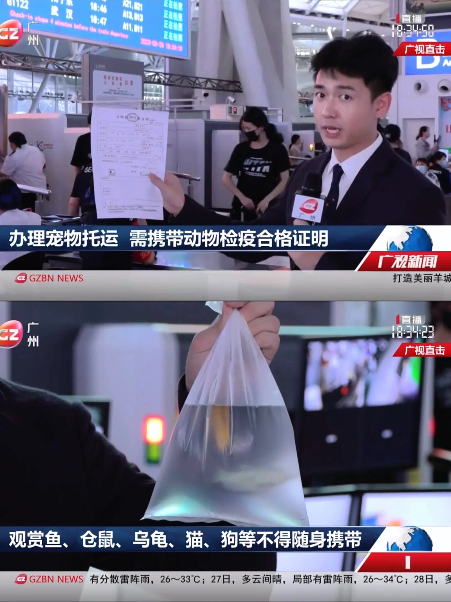 4月8日起铁路部门试点高铁宠物托运服务