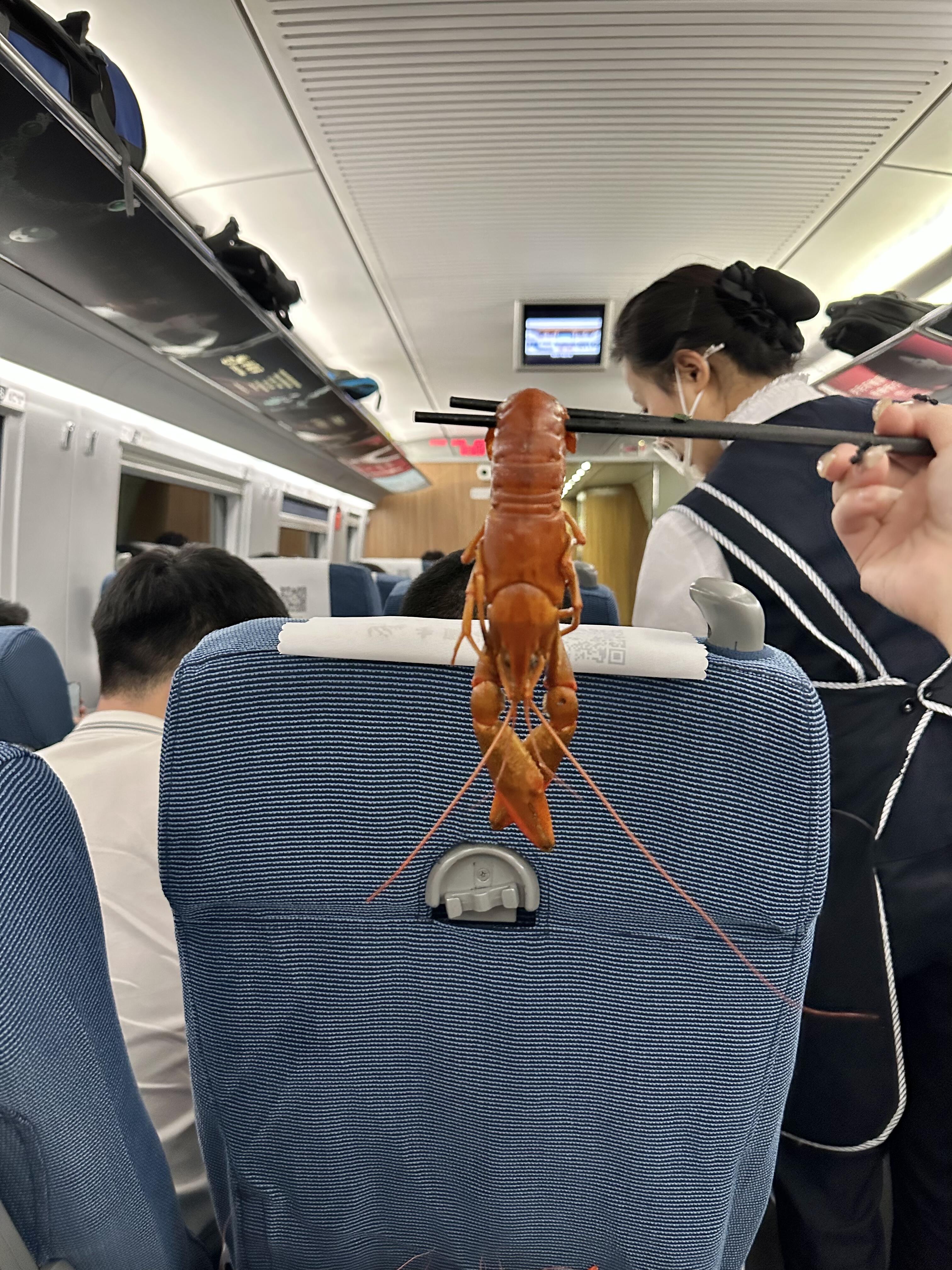 哈大高铁累计发运旅客超10亿人次