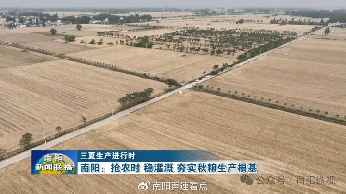 农业农村部：今年秋粮的面积基本落地 预计比上年稳中有增