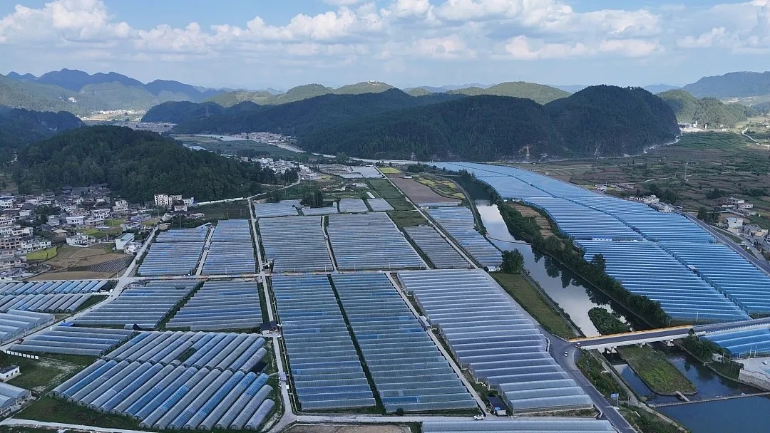 东西部协作省份采购和帮助销售西部协作地区农产品4200多亿元