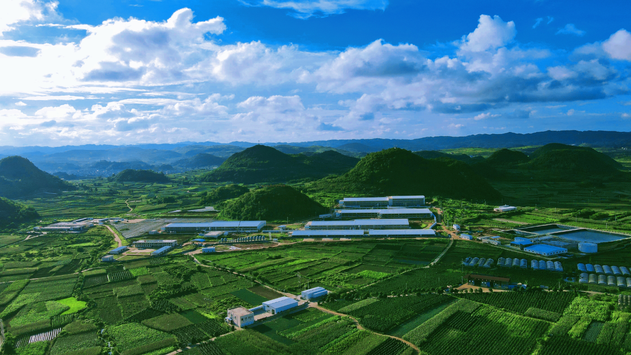 东西部协作省份采购和帮助销售西部协作地区农产品4200多亿元