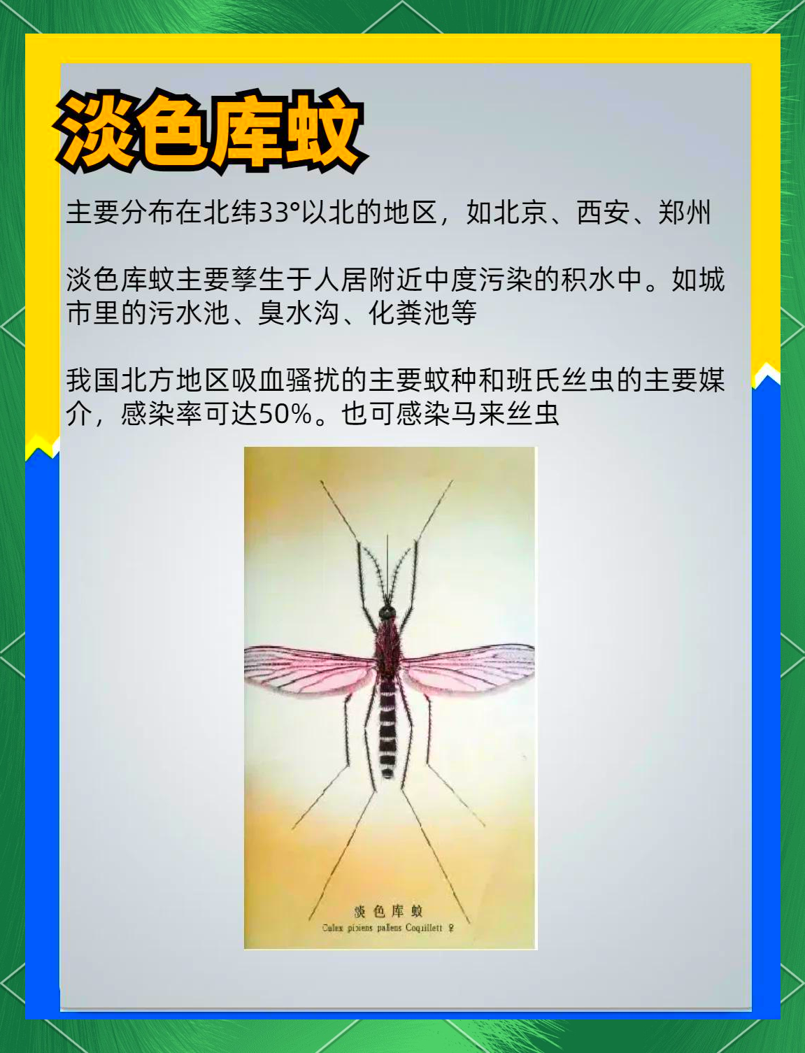 唠“科”话丨为啥蚊子总叮你？“招蚊”跟血型相关？