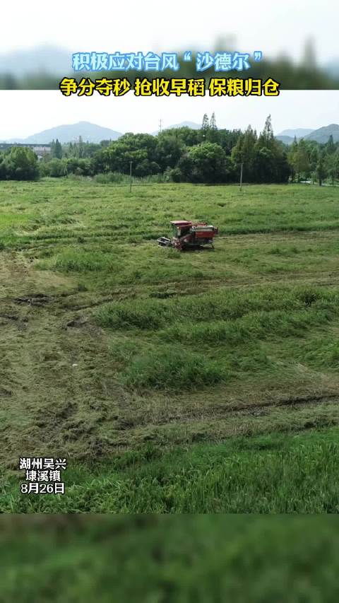 台风“三顾”带火浙江玉环 滨海小城如何承接这波热度？